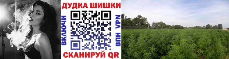 Виды наркотиков купить Новоаннинский ГАШИШ МАРИХУАНА Alpha PVP Меф COCAIN