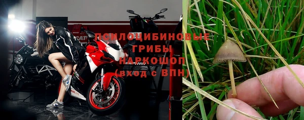 a pvp Алексин