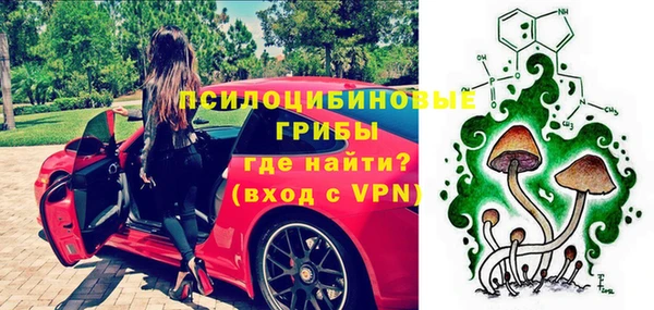 a pvp Алексин